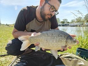 Crucian Carp