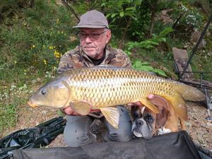 Common Carp