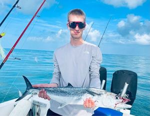 Spanish Mackerel