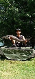 Sturgeon