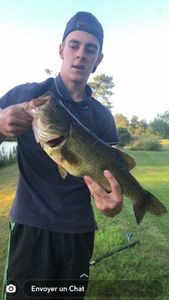 Largemouth Bass