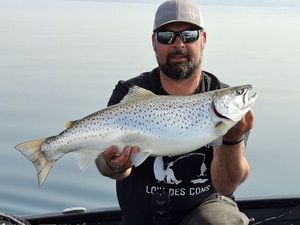 Lake Trout