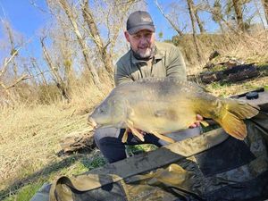 Mirror Carp