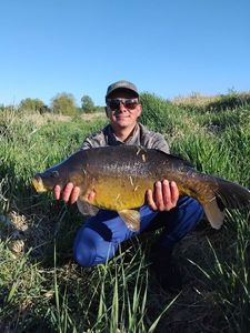 Mirror Carp