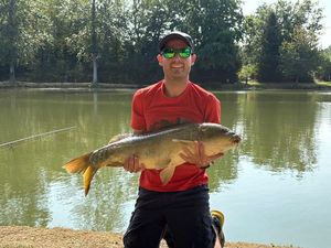 Mirror Carp