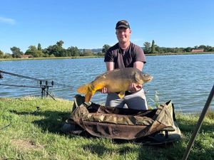 Common Carp
