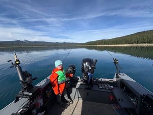 Kokanee