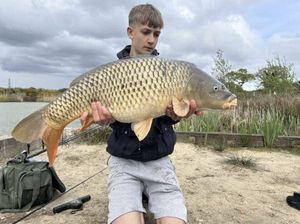 Common Carp