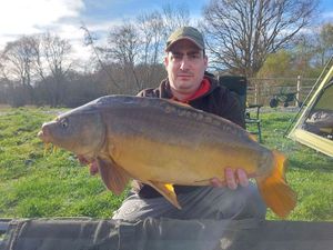 Mirror Carp