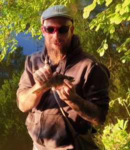 European Perch