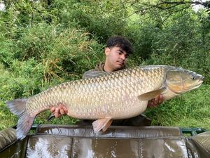 Grass Carp