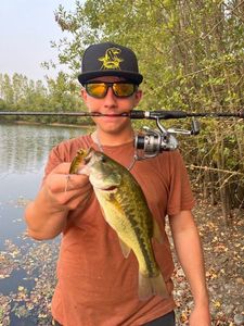 Smallmouth Bass