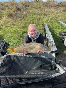 Common Carp