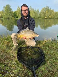 Mirror Carp
