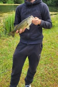 Smallmouth Bass