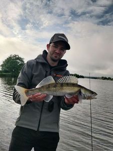 Zander