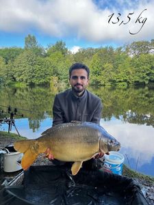 Mirror Carp