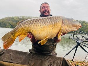 Common Carp