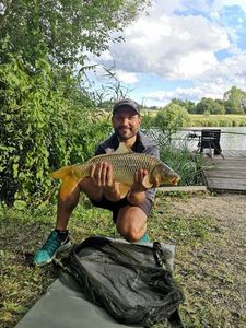 Common Carp