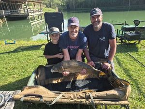Common Carp