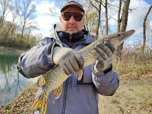 Northern Pike