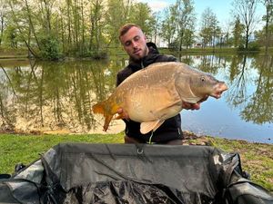Mirror Carp