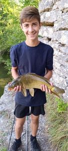 Common Carp