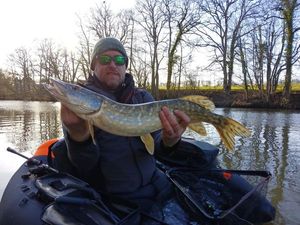 Northern Pike