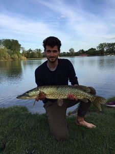 Northern Pike