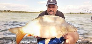 Mirror Carp