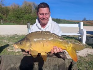 Mirror Carp