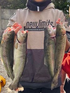 Rainbow Trout