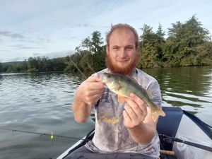 European Perch