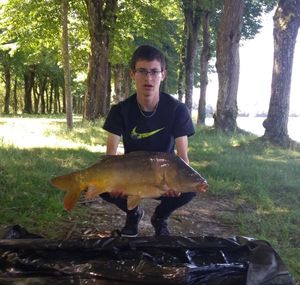 Mirror Carp