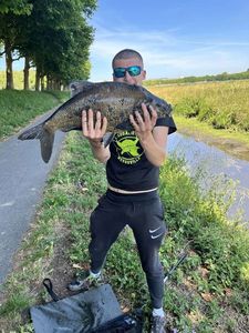 Common Bream