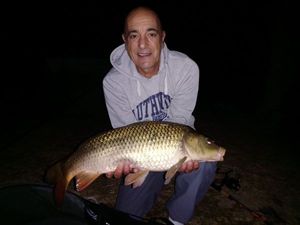 Common Carp