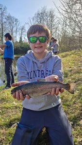 Rainbow Trout