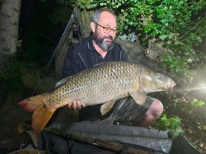 Common Carp