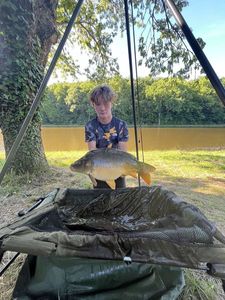 Mirror Carp