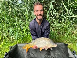 Common Carp