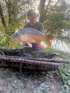 Carpe Miroir