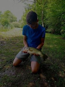 Smallmouth Bass