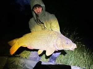 Common Carp