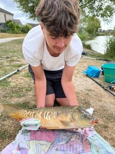 Mirror Carp
