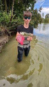 Largemouth Bass