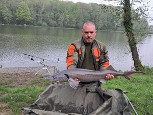 Sturgeon