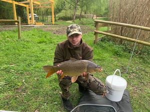 Common Carp