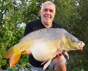 Mirror Carp