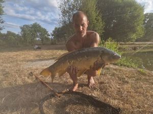 Mirror Carp