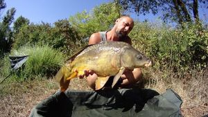 Mirror Carp